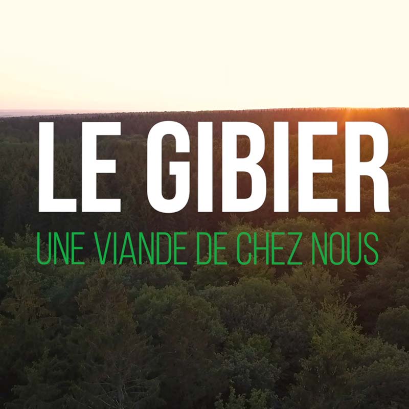 Le gibier une viande de chez nous